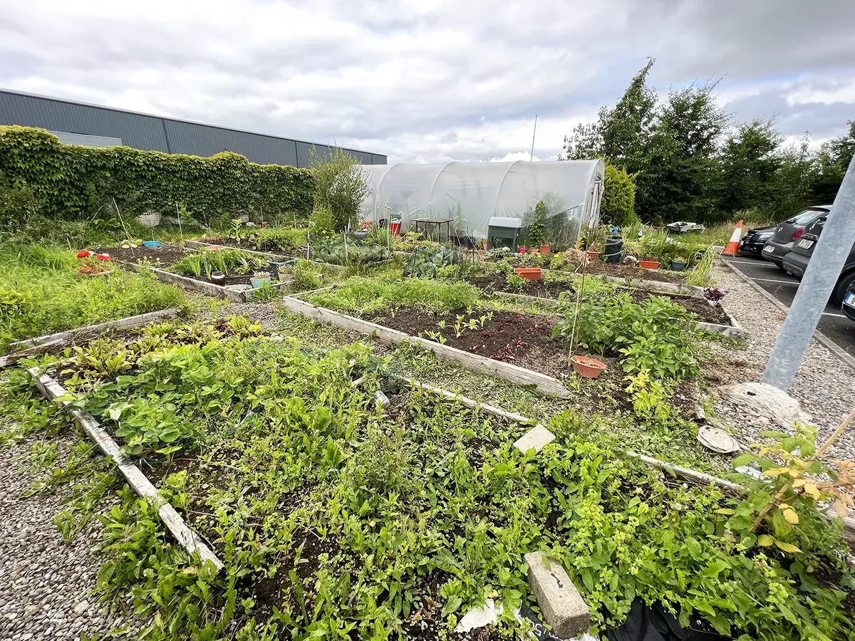 Sue Ryder Nenagh residential community