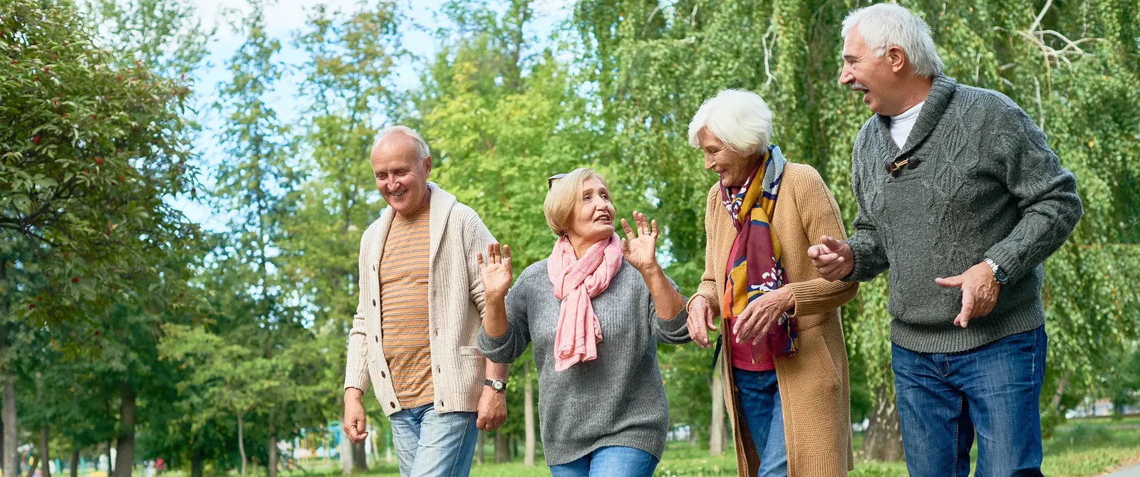 Four smiling seniors walking together through a sunny park